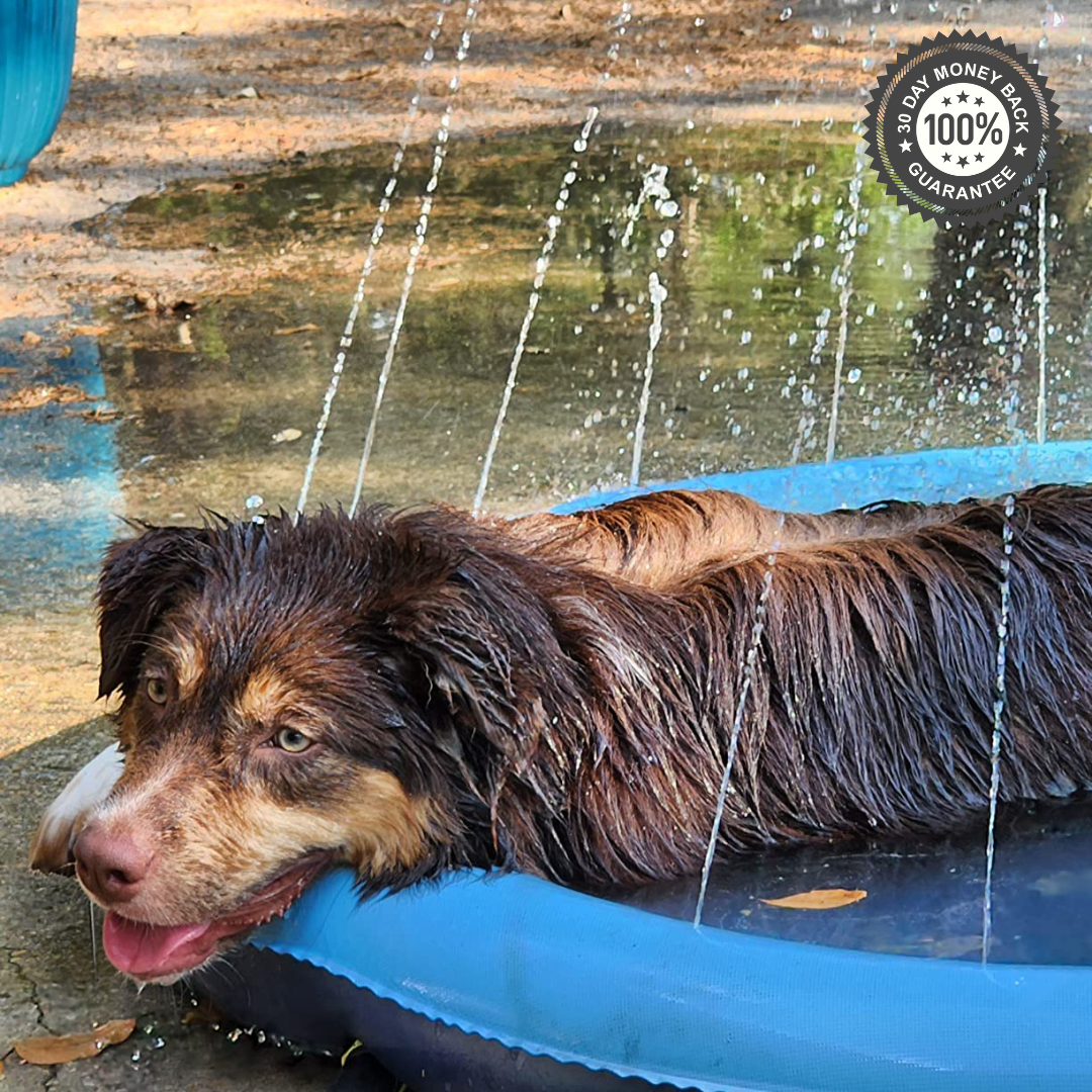 Splashy - Dog Sprinkler Pool